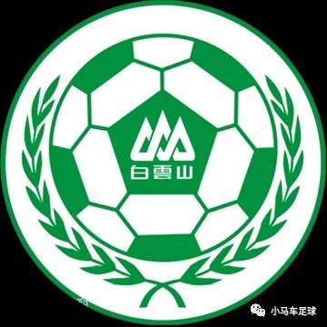 广州足球俱乐部 广州队 历史 _广州足球队_ 广州队 起源 发展历程