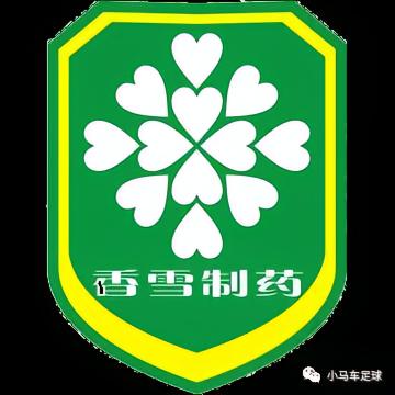 广州足球队_广州足球俱乐部 广州队 历史 _ 广州队 起源 发展历程