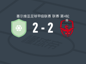 博尔1919 2-2沃日多瓦茨