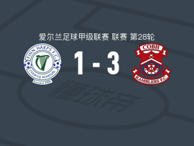 科布漫步者3-1费恩夏普