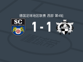 维登贝鲁克1-1VFB希尔顿，Pascal Weber首开记录，Davud Tuma扳平