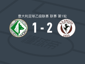 阿雷佐2-1逆转阿韦利诺，约尼查、钱奇点射破门