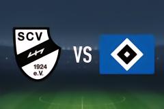 半场战报：维尔0-1汉堡，格伦贝克破门
