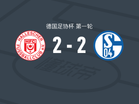 哈勒舍尔2-2沙尔克，Vin Kastull首开记录，施蒂尔林扳平比分