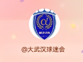 武汉球迷协会：津门虎球迷先喊侮辱性口号，已批评回击的球迷