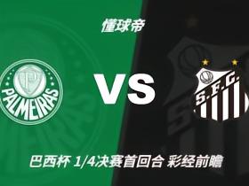 彩经前瞻：帕尔梅拉斯vs桑托斯，预计主队轻松取胜