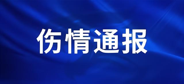武汉三镇官方：王毅右膝外侧副韧带损伤，预计恢复时间4-6周