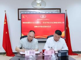 官方：海南正式启动F1项目引进落地工作