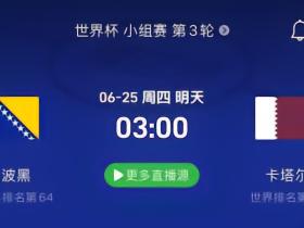 波黑vs卡塔尔：一场定输赢；两队多人红牌停赛