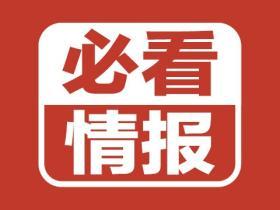 女主裁酷爱“黄牌”，厄瓜多尔渔人得利！德意志战车末轮抛锚？