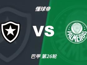 博塔弗戈vs帕尔梅拉斯裁判佩雷拉数据：近20场89黄，2红，6点球