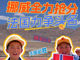 世界杯“蒙眼预测法”，挪威vs法国 ！谁能赢？