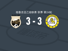 萨加雷焦3-3施安尼