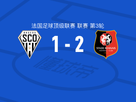 雷恩2-1昂热，弗兰科夫斯基破门