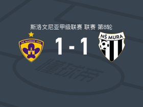 马里博尔1-1穆拉，奇潘巴破门，Niko Kasalo扳平