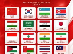 马德兴：越南在U20亚洲杯预选赛小组垫底，恐怕与错信日本教练不无关系