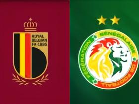 世界杯1/16决赛：比利时vs塞内加尔，胜者PK美国波黑胜者