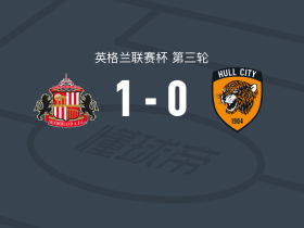 桑德兰1-0赫尔城，塔勒比一剑封喉