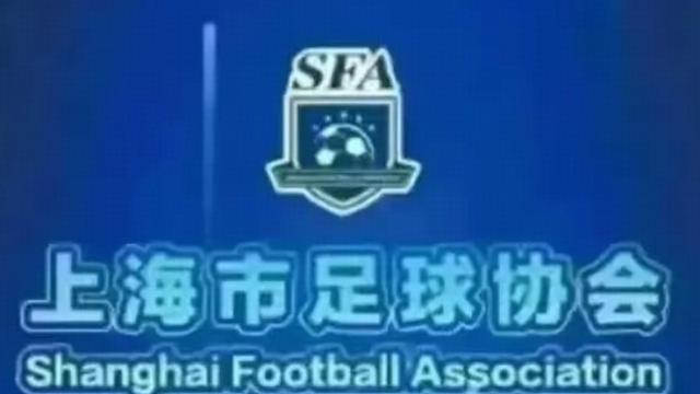 提倡理性观赛，上海市足协发布世界杯足球赛文明观赛倡议书