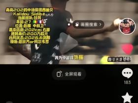 夏窗阿利米换这个吧，朗尼克的人