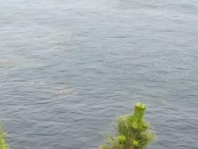 海洋垃圾越来越多了，这还是在近海