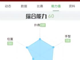 这个有希望租借吗[叹气]