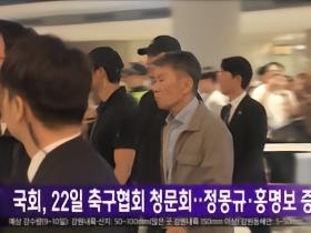 韩媒：韩国国会22日将举行足球听证会，郑梦奎洪明甫出席