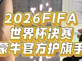 6名苏超要强少年即将登陆美加墨世界杯，在决赛中担任护旗手