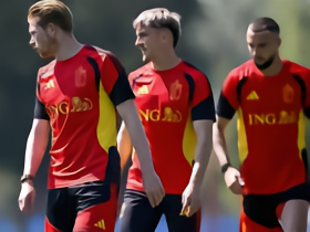 比利时认为FIFA提供的训练场草坪质量不佳，但场地方坚称没问题