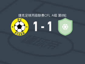 皮塞克1-1普里布拉姆B队，Danyil Dolechek破门，Martin Voracek救主