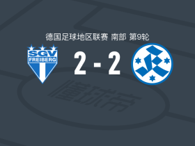 弗雷堡2-2斯图加特踢球者，斯泰恩克特破门，David Stojak救主