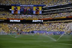 一块高达3065欧元，国际足联开售世界杯决赛场限量草坪切块