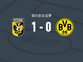 维特斯1-0多特蒙德二队，普罗布斯特打进全场唯一进球