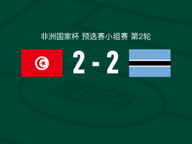 突尼斯2-2博茨瓦纳，克格曼扬先拔头筹，迪采莱扳平