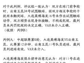 裁判报告出来了
