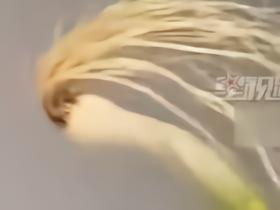 被球员本人翻牌子的“哈兰葱”实为蒜苗，重庆小伙挑了一小时