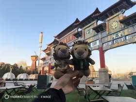 随机抽查五一你们都在干嘛[哲凯赖什][哲凯赖什][哲凯赖什]