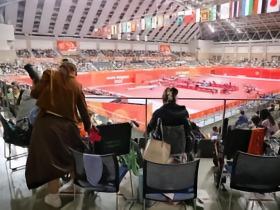 外媒：球迷从轮椅起身跪地拍摄王楚钦，还有人轮流坐轮椅占位