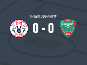维迪尔0-0艾格纳比利克，平分秋色