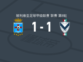 布鲁明1-1GV圣何塞，米格尔-比利亚罗埃尔首开记录，J. Goyeneche救主