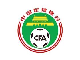 裁判评议：大连可为应获得两粒点球，且被错判一粒点球