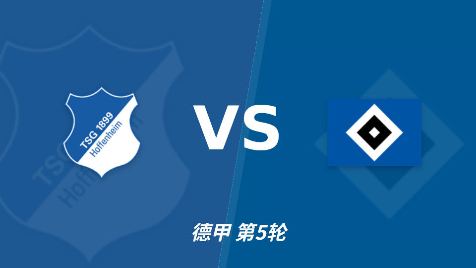 霍芬海姆 vs 汉堡 对阵海报