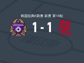 安养1-1光州，马特乌斯-奥利韦拉先拔头筹，文敏瑞救主