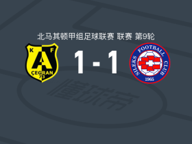 阿尔西米1-1西莱克斯