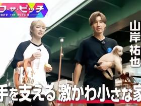 J联赛官方：节目聚焦山岸祐也新婚生活