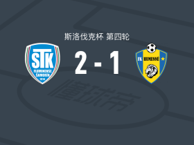 沙莫林2-1胡门尼