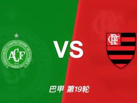沙佩科人vs弗拉门戈裁判数据：近20场8红2点