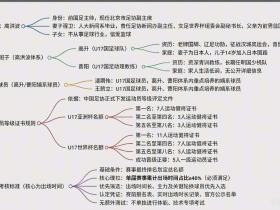 网传