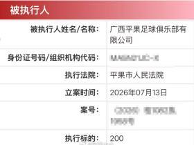 苗原：广西平果新增200元执行记录，近十条记录涉及多项欠款