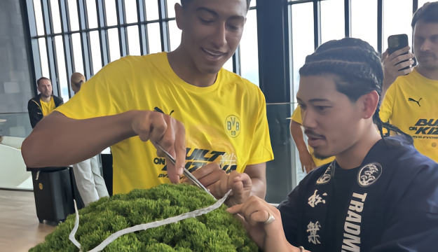 足球小贝林在日本体验修剪盆栽，为一盆价值超百万元的盆栽修剪德甲13 评07-27 17:28